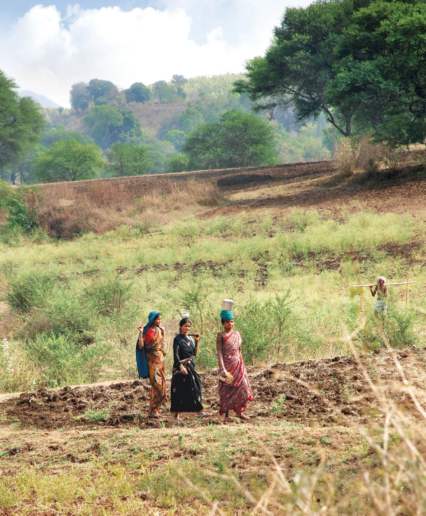 REDD and Indigenous Communities in India